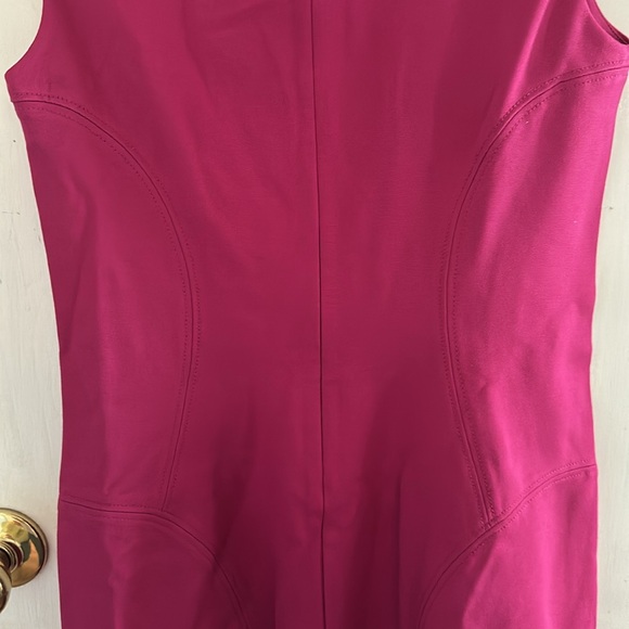 NWT DianeVonFurstenberg Raspberry Ruffled Dress - Picture 8 of 8